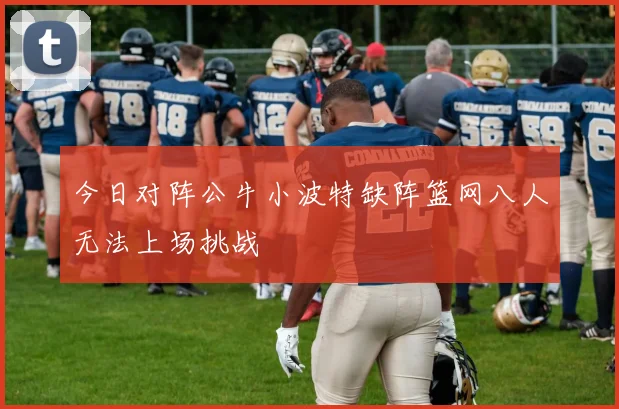 今日对阵公牛小波特缺阵篮网八人无法上场挑战